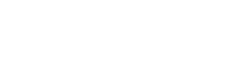 BREZTRI Logo
